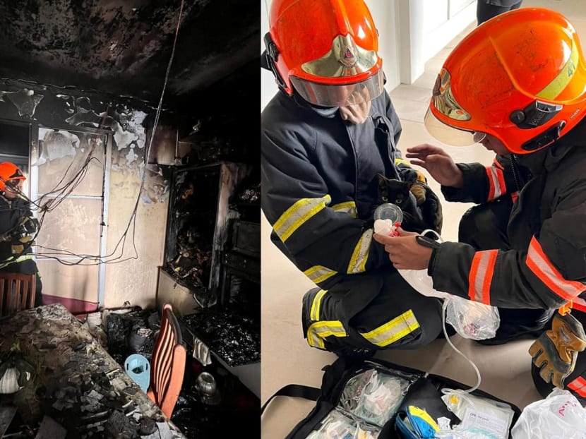 The fire involved the contents of a kitchen in a unit on the fifth floor, said SCDF in a Facebook post, adding that the blaze&nbsp;was confined there.