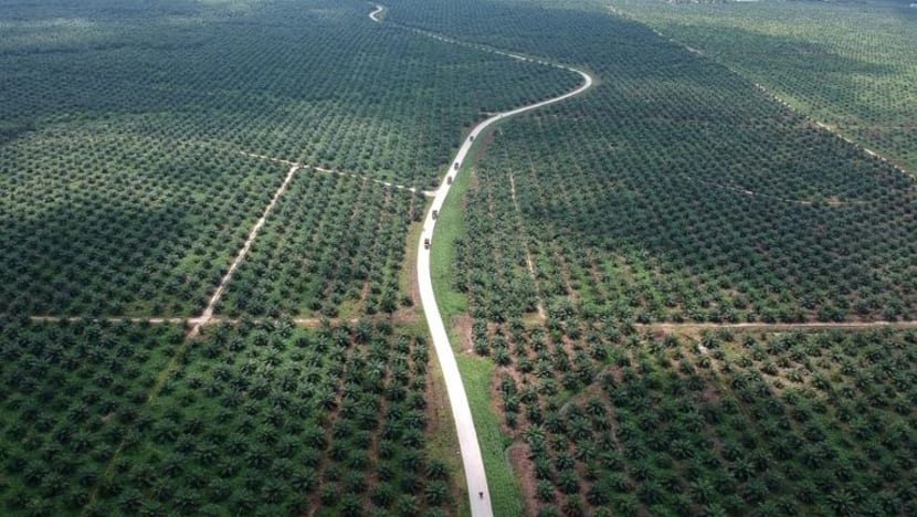 Indonesia kekalkan larangan permit tebang hutan