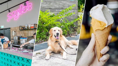 Coconut & Pandan Gelato For You, Beef Popsicle For Your Pup At New Gelateria