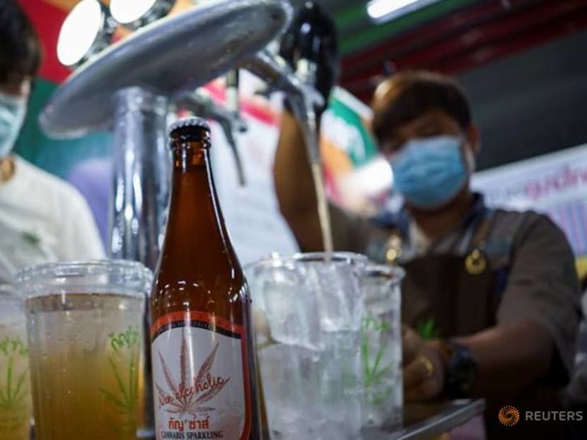 Thailand in a green rush as government pushes cannabis as cash crop Thailand in a green rush as government pushes cannabis as cash crop