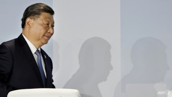 China willing to work with South Korea ahead of summit with Japan: Xi 