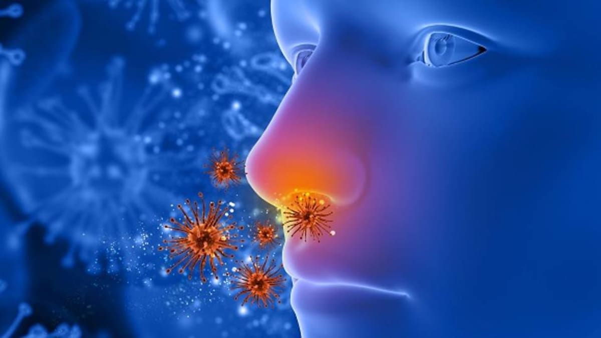 What Is Cantonese Cancer 5 Facts About Nasopharyngeal Carcinoma Cna