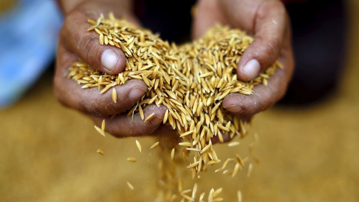 Thailand, Vietnam aim to increase rice price to boost bargaining power