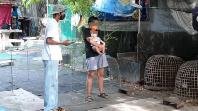 泰国医疗崩溃病床不足  两岁童染疫关鸡舍 中年男等不及上吊