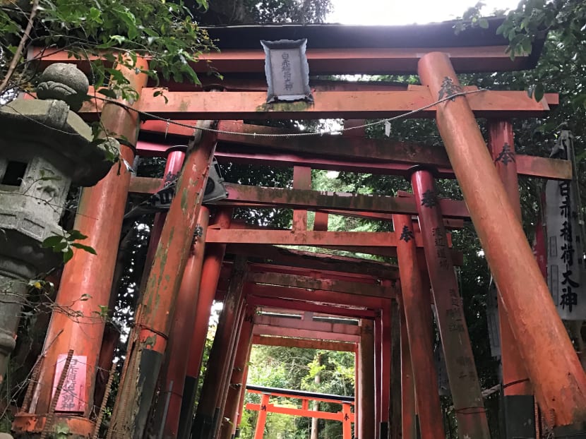 Gallery: 5 Instagram-worthy hidden gems near Tokyo