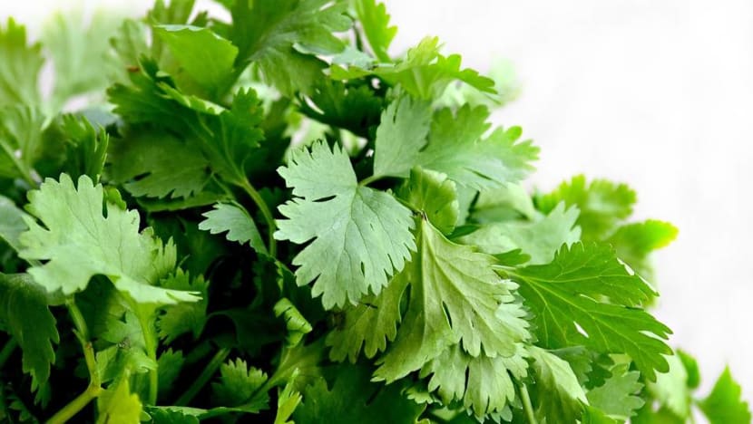 Man arrested after cartons of coriander stolen from wholesale centre Man arrested after cartons of coriander stolen from wholesale centre