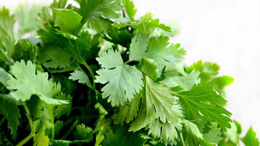 Man fined for importing more than 450kg of coriander without proper permit