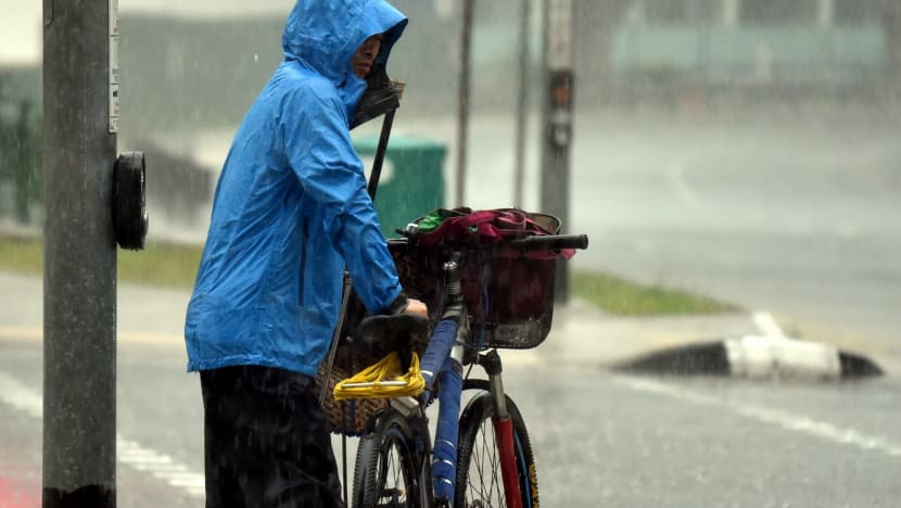 More rain expected in first half of March, possible highs of 34 degrees Celsius