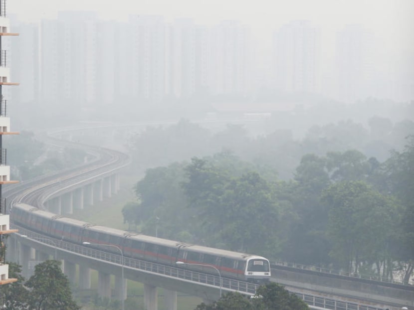 Haze in 2015 disrupted S’pore’s wildlife: Study Haze in 2015 disrupted S’pore’s wildlife: Study