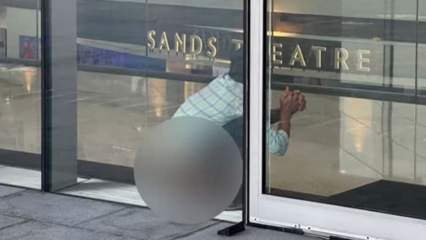 'Don't do this in public': Man fined for defecating at Marina Bay Sands entrance