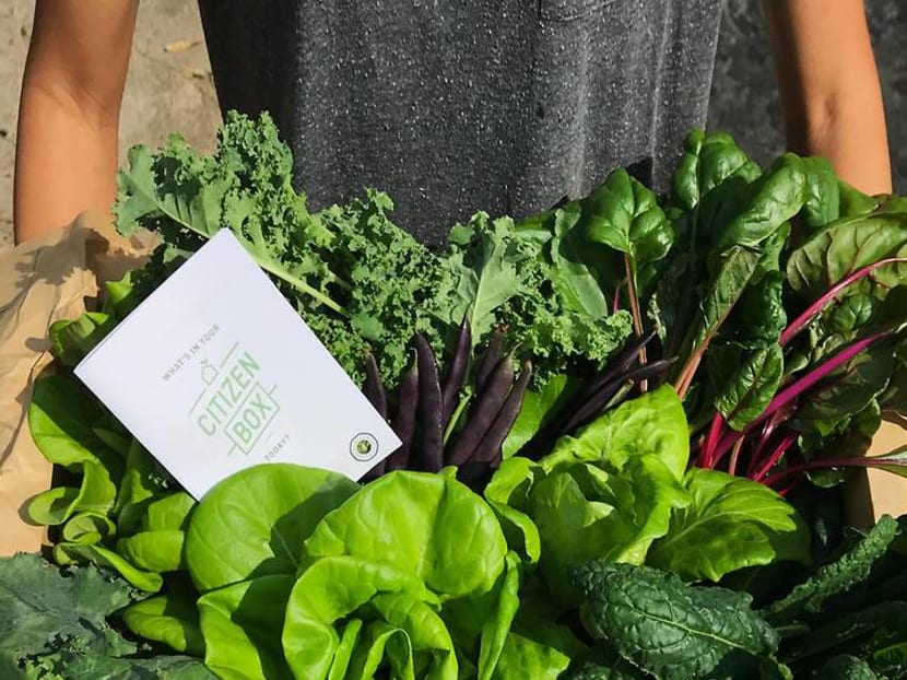 Going eco-friendly: Can you really pursue a sustainable lifestyle in Singapore? Going eco-friendly: Can you really pursue a sustainable lifestyle in Singapore?