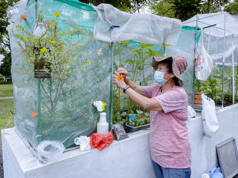 The National Parks Board could name a chief gardener, or a team of pro gardeners, in each housing estate, who could nudge their neighbours to embrace gardening, suggests the writer. The National Parks Board could name a chief gardener, or a team of pro gardeners, in each housing estate, who could nudge their neighbours to embrace gardening, suggests the writer.