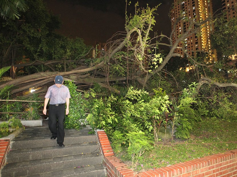 Banyan tree at Toa Payoh Central collapses on several cars
