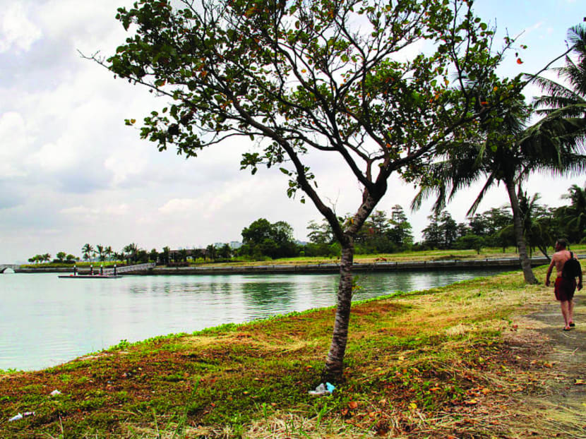 Singapore has other islands for rustic adventures besides Ubin, you know Singapore has other islands for rustic adventures besides Ubin, you know