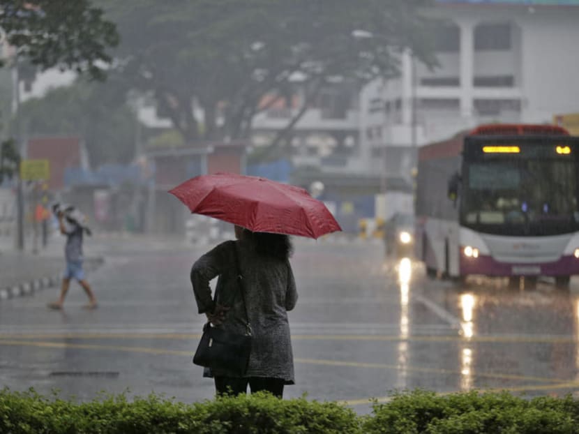 “In the first fortnight of November, Singapore can expect moderate to heavy thundery showers due to light winds coupled with strong daytime heating of land areas in the afternoon on six to eight days,” said the MSS.