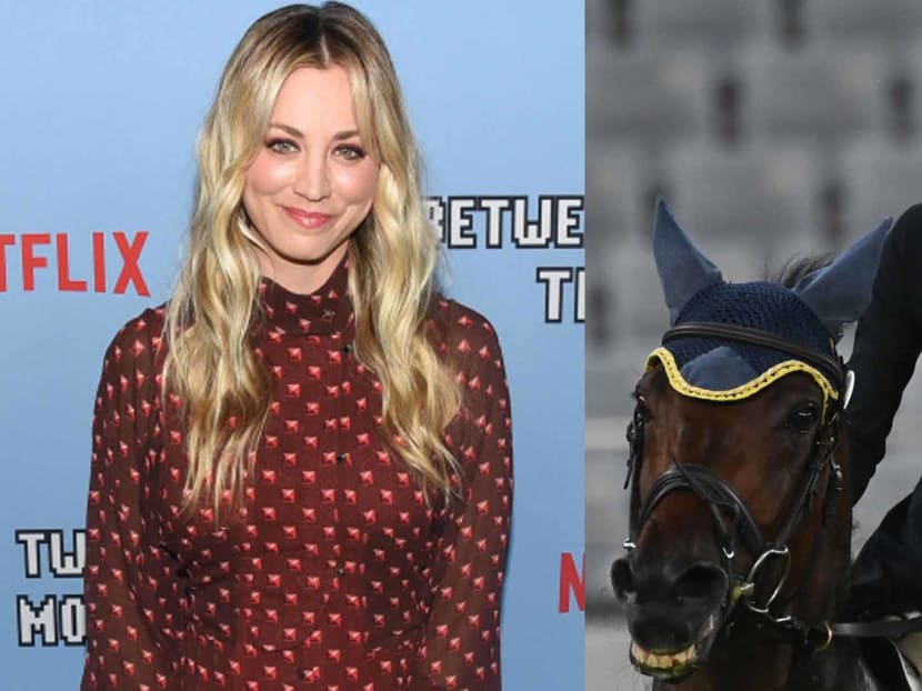 Kaley Cuoco Offers To Buy Punched Olympic Horse: “Name Your Price”