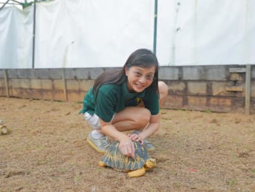 Ms Connie Tan with a radiated tortoise at the Live Turtle Museum Singapore on April 24, 2024. 
