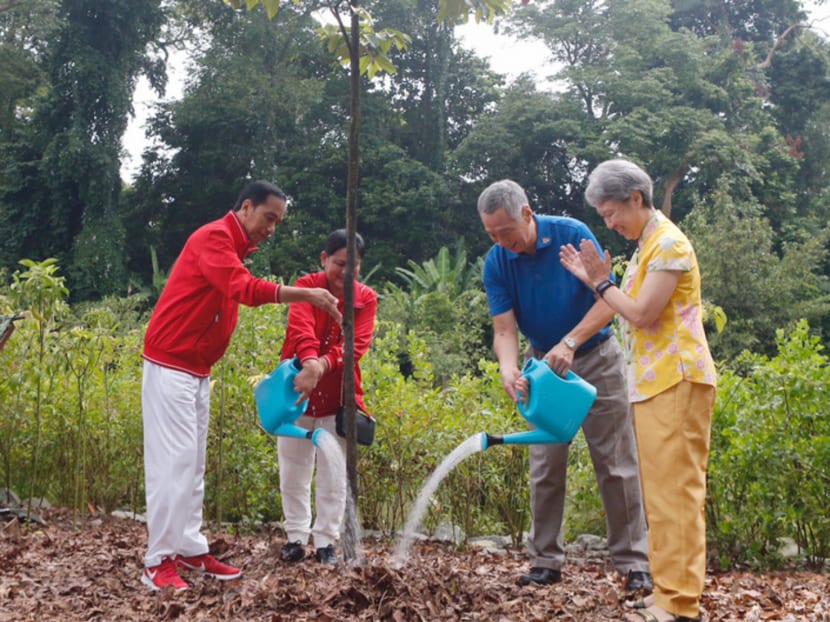 Tree planting, nasi lemak and flypast mark S'pore-Indonesia Golden Jubilee