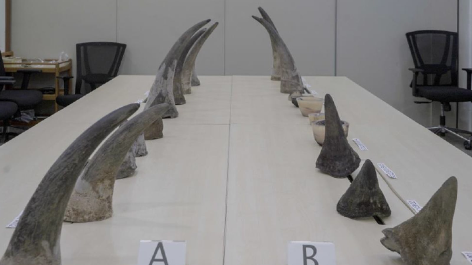 Rhinoceros horns worth S$1.2 million seized at Changi Airport, largest such haul in Singapore