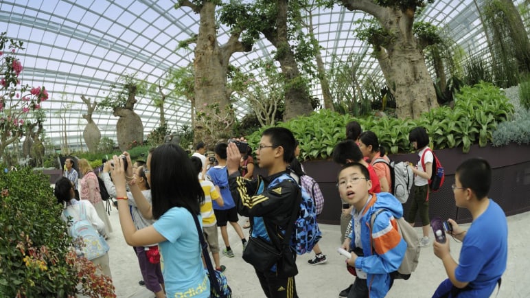 IN FOCUS: From reclaimed land to glass domes and towering metal trees - how Gardens by the Bay has blossomed