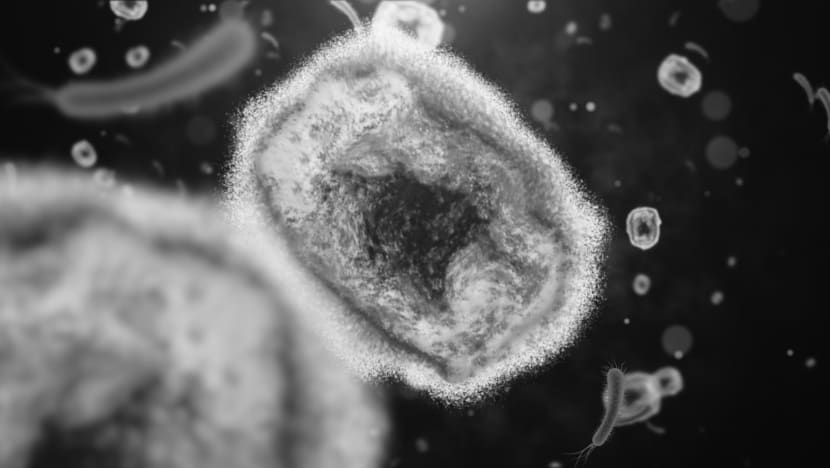 WHO declares monkeypox a global health emergency amid rising cases WHO declares monkeypox a global health emergency amid rising cases