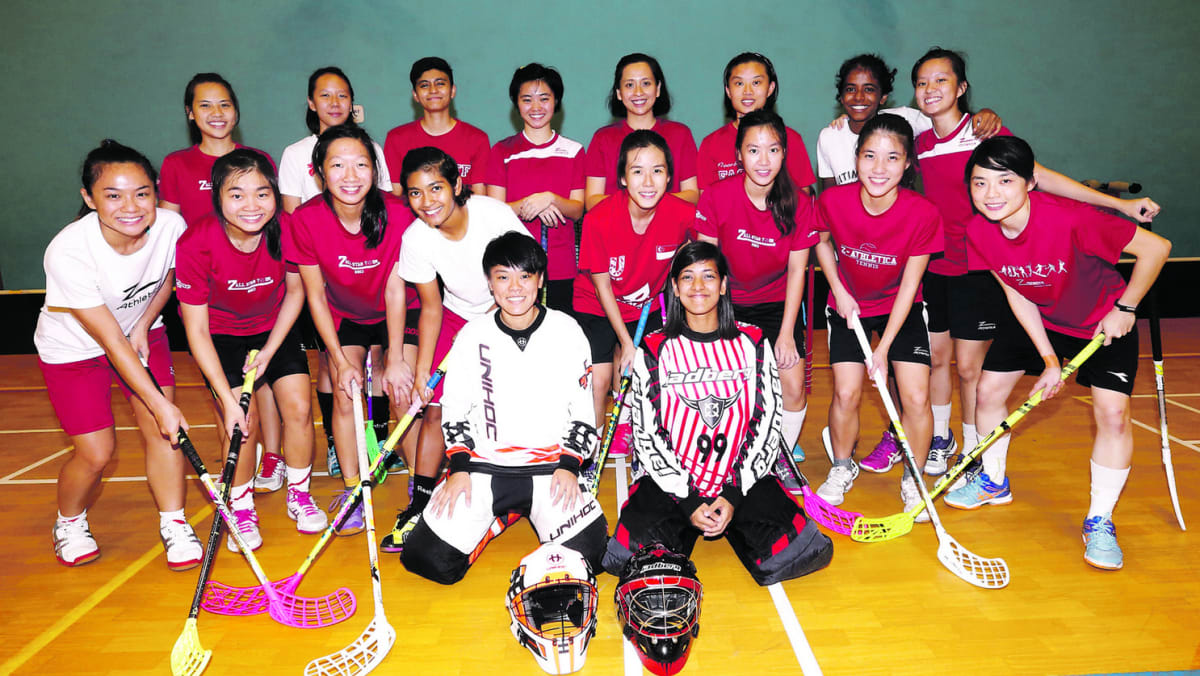 Floorball Stick Bag Singapore Floor Roma