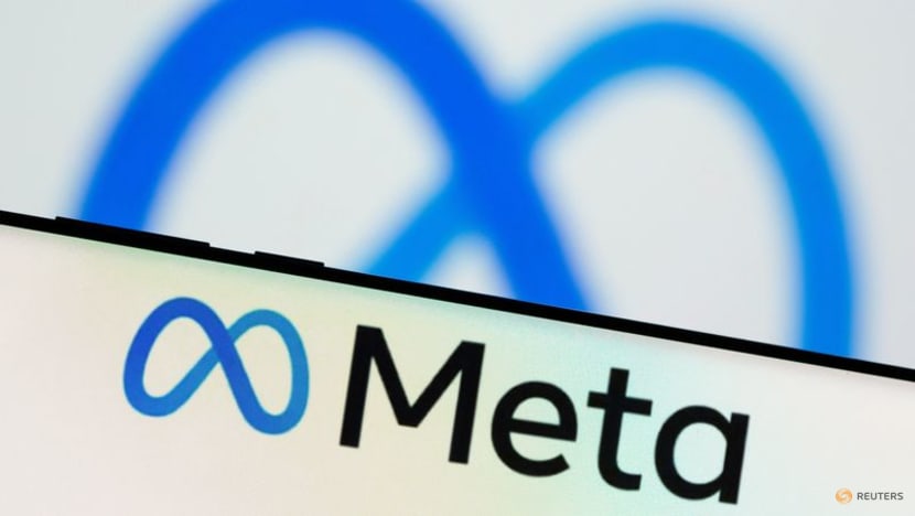 Meta launches subscription service in US