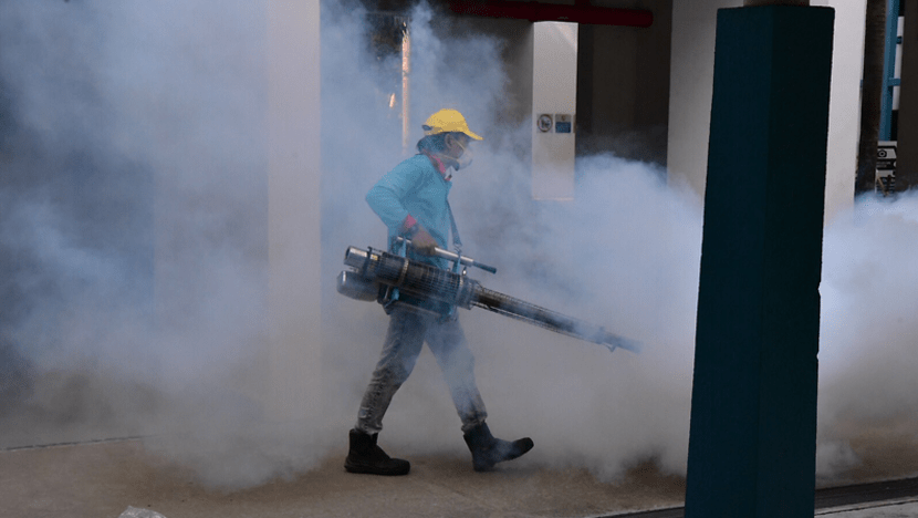 Weekly dengue cases fall below 600 in September, but continued vigilance is critical: NEA