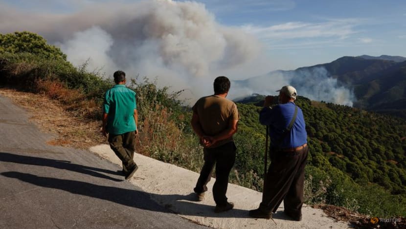 Wildfire in southern Spain forces town evacuation; 3 hurt Wildfire in southern Spain forces town evacuation; 3 hurt