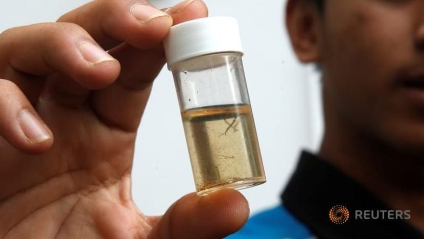 Bengkel guna herba Cina untuk basmi nyamuk dianjurkan