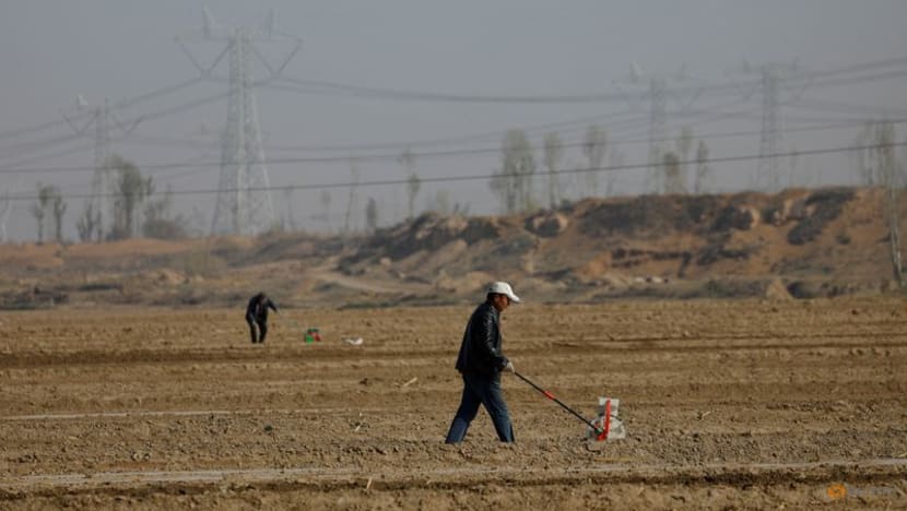 China to allow gene-edited crops in push for food security China to allow gene-edited crops in push for food security