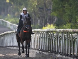 With horse racing ending in S'pore, young jockeys mull over career options