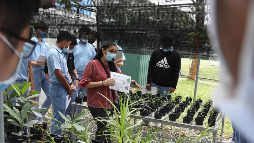 20210225 Raj ECO%20Stewardship%20Programme2