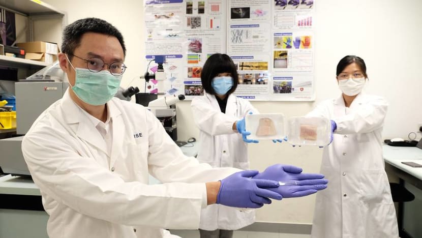 NTU researchers lead development of AI-powered 'electronic nose' to sniff out meat freshness, reduce food waste NTU researchers lead development of AI-powered 'electronic nose' to sniff out meat freshness, reduce food waste