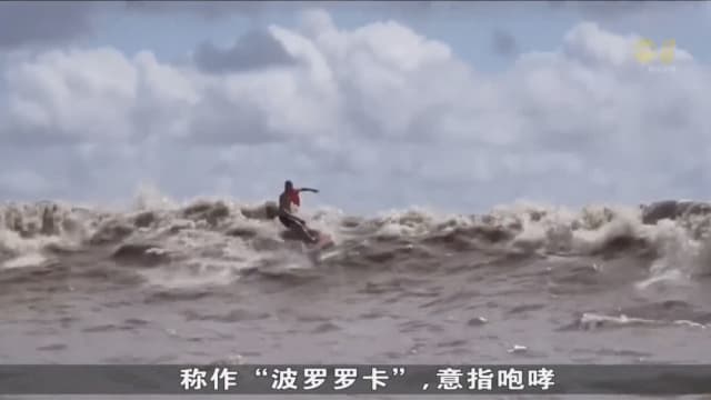 在河上冲浪！ 巴西冲浪好手每年聚集亚马逊河比赛