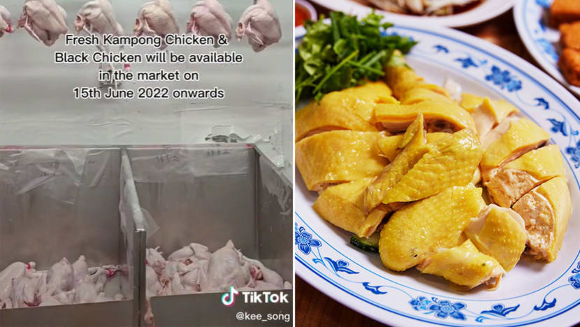 M’sian Fresh Kampong Chickens, Selected Frozen Products Apparently Allowed For Export Again M’sian Fresh Kampong Chickens, Selected Frozen Products Apparently Allowed For Export Again