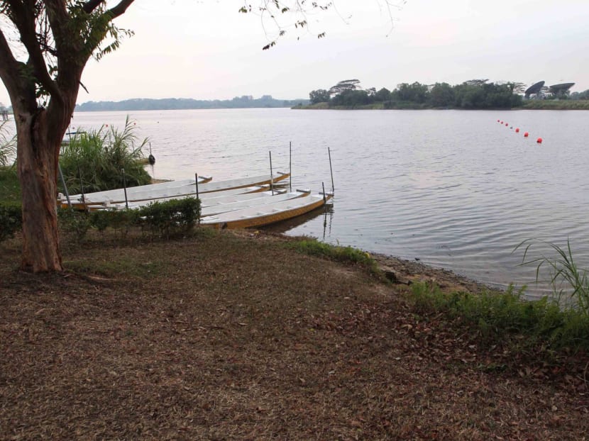 Lower Seletar reservoir. TODAY file photo.