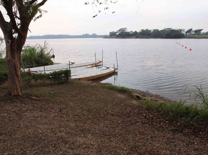 Lower Seletar reservoir. TODAY file photo. Lower Seletar reservoir. TODAY file photo.