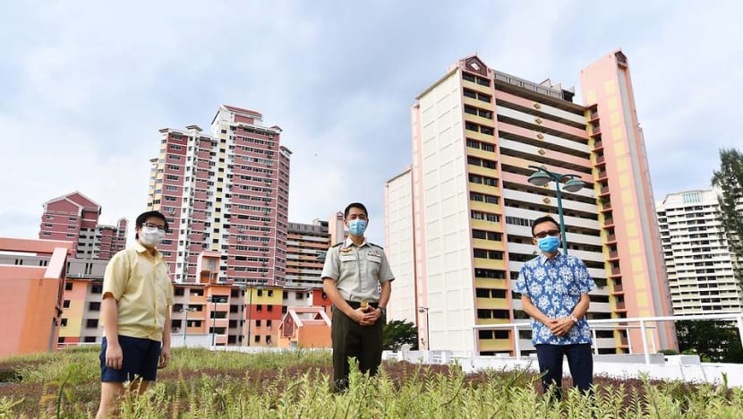 NDP 2020 to have morning and evening shows; shows to be scaled down in line with COVID-19 precautions NDP 2020 to have morning and evening shows; shows to be scaled down in line with COVID-19 precautions