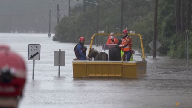 Why Australia is battling floods again