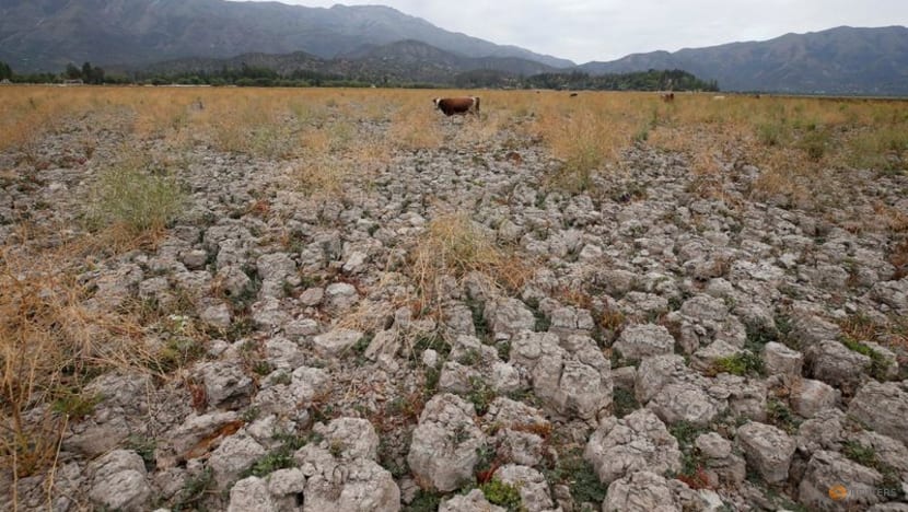 Chile's dictatorship-era water code is getting a makeover