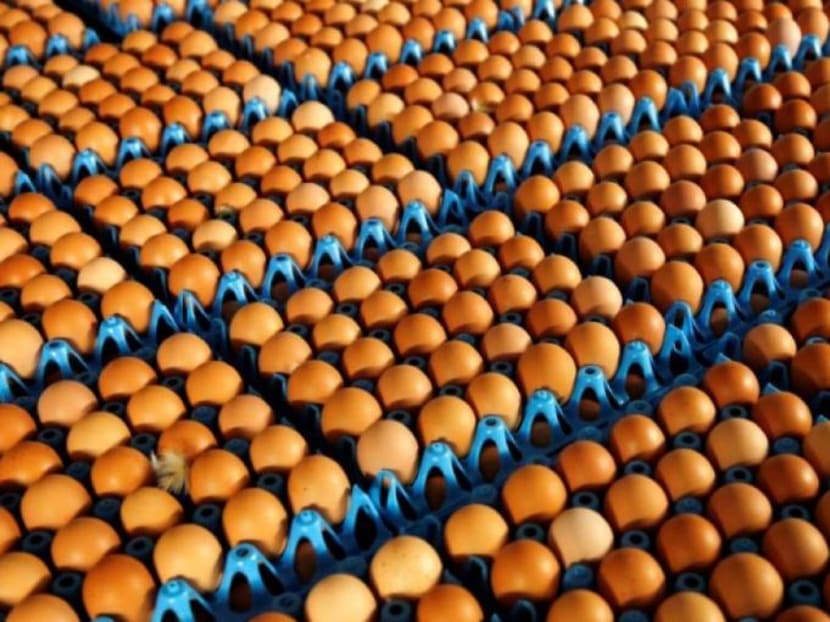 The Singapore Food Agency said that four egg importers “made limited effort and progress” in fulfilling their business continuity plans that are part of licensing requirements. The Singapore Food Agency said that four egg importers “made limited effort and progress” in fulfilling their business continuity plans that are part of licensing requirements.
