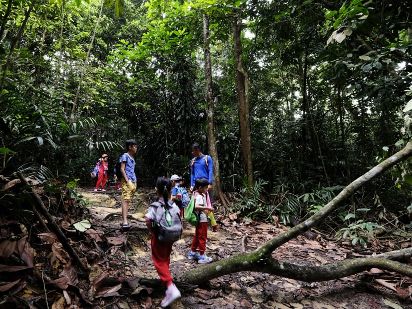 Forest School Singapore founder Darren Quek leads a group of children through a designated trail within the Rifle Range Nature Park.