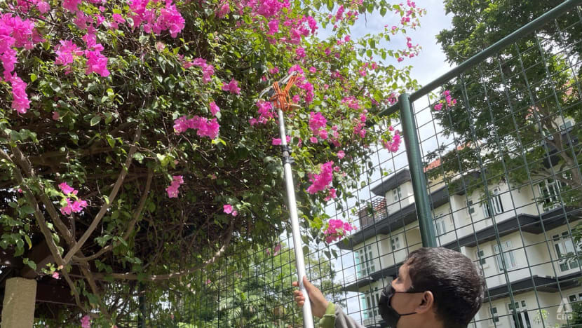 Baseline wages for landscape maintenance workers set to rise by 6% on average each year Baseline wages for landscape maintenance workers set to rise by 6% on average each year