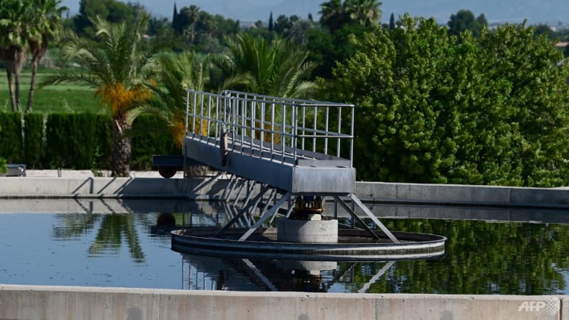 'Every drop counts': Spain's crops thrive on wastewater