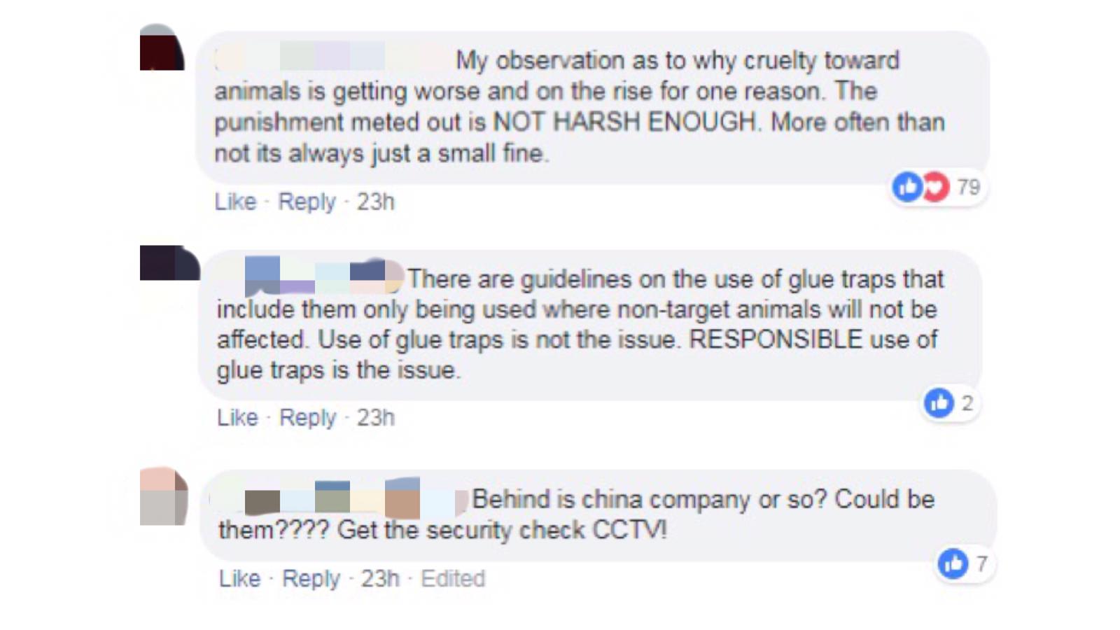 身粘胶水小猫遗弃垃圾箱旁spca悬赏千元吁公众提供信息 8world