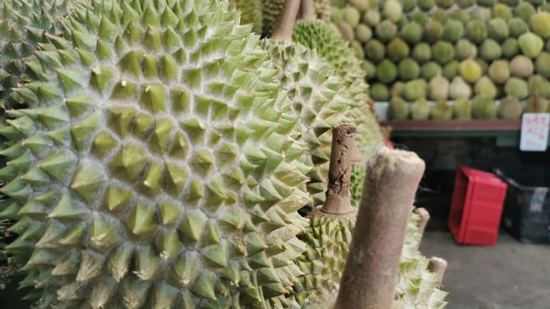 Fewer, costlier durians in Malaysia as production hit by heavy rain