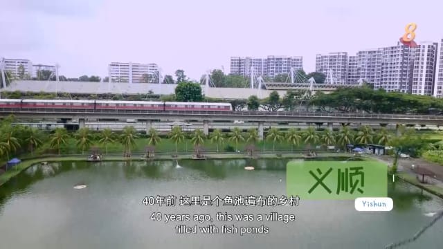 星期二特写 | 铁路边绿水旁：义顺
