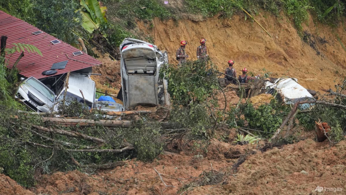 ‘Lisensi mana yang kamu bicarakan’: Operator perkemahan di Malaysia tidak mengetahui perizinan