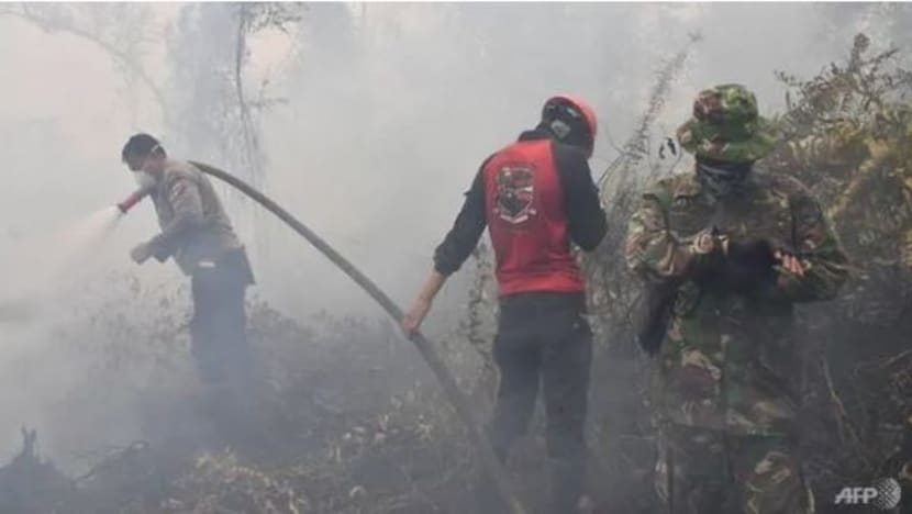 Indonesia berusaha sedaya upaya padam kebakaran Riau
